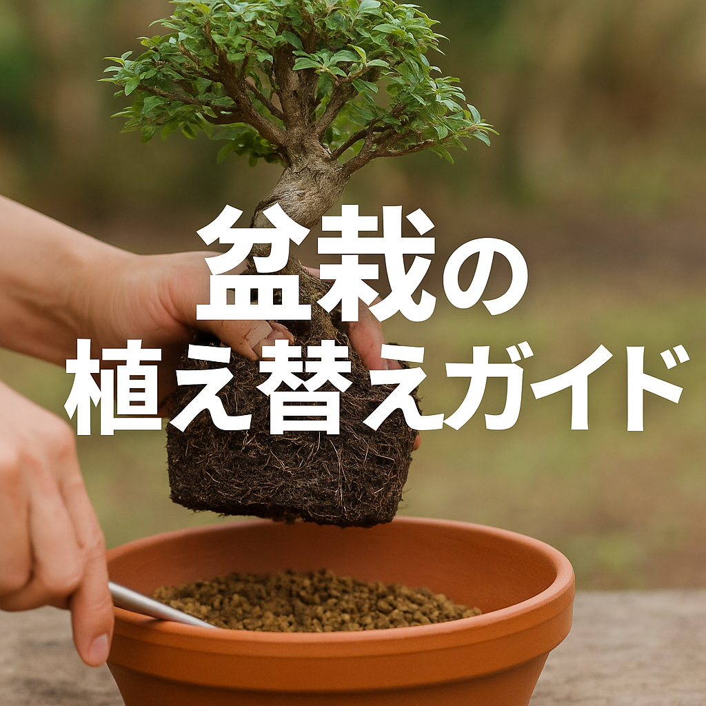 鉢から丁寧に取り出された盆栽の根元を持ち、赤茶色の植木鉢に植え替え作業をする様子。「盆栽の植え替えガイド」という白い日本語タイトルが中央に配置された、初心者向け解説記事のアイキャッチ画像。